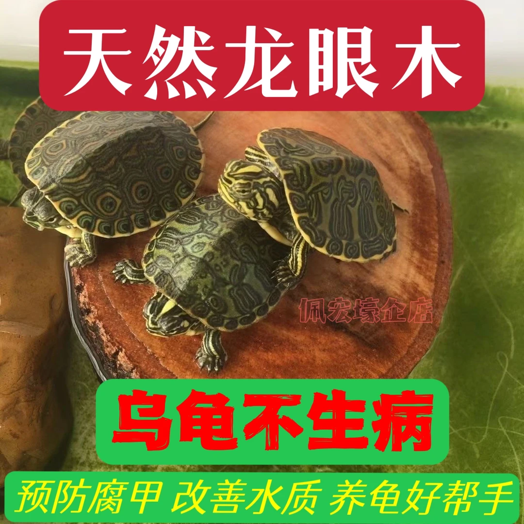 乌龟晒台爬台休息天免煮龙眼木高水位家用天然沉木造景摆件生态缸