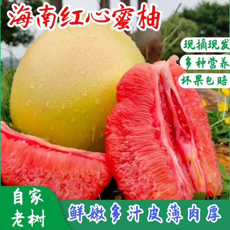 【现货！】海南红心蜜柚新鲜采摘鲜甜多汁4-8.5斤装坏果包赔黑1