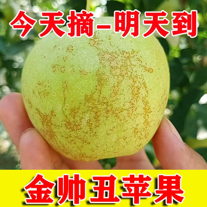 A5【酸脆】新鲜青苹果金帅苹果水果酸爽青香蕉金冠黄元帅1/5/10斤