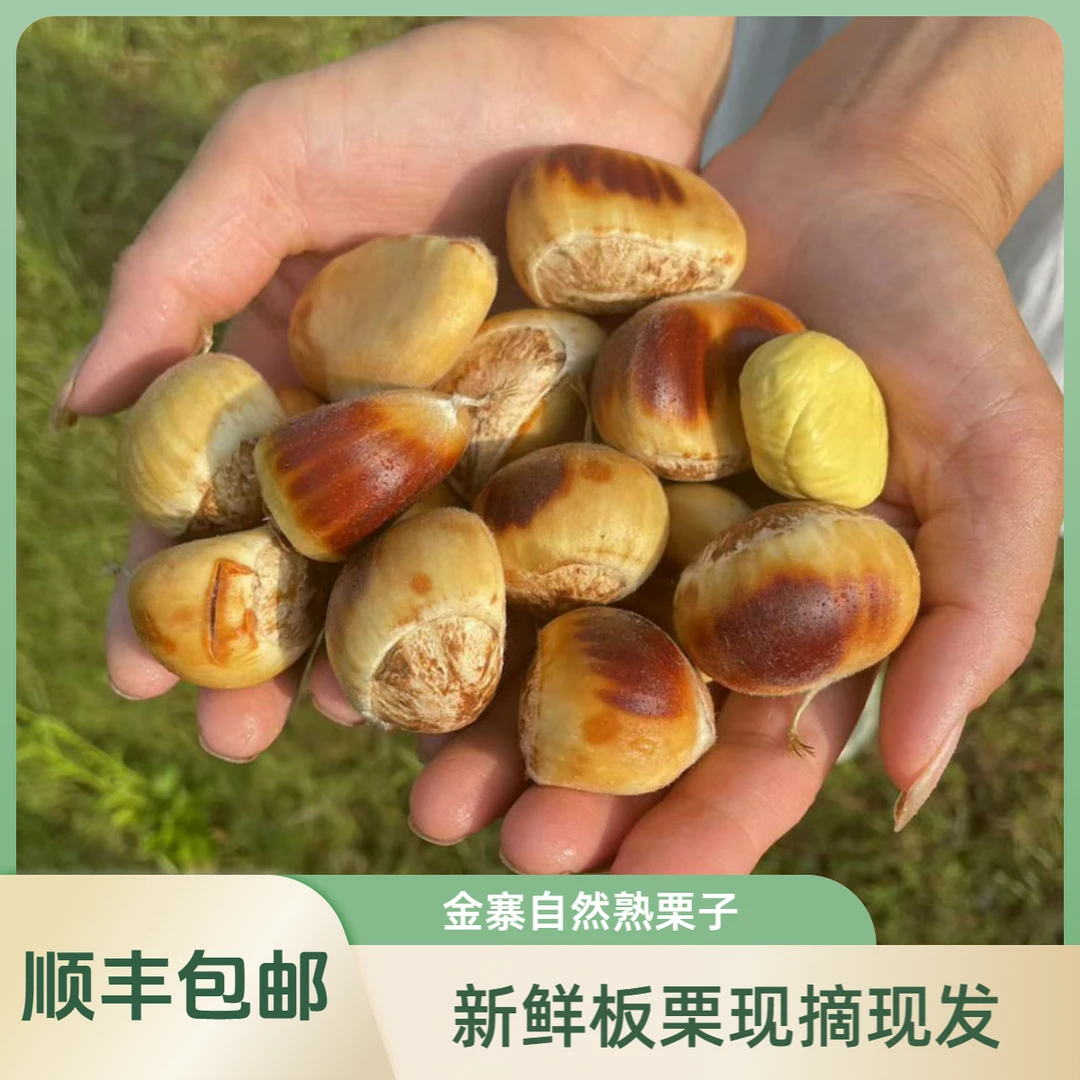 【红皮板栗 顺丰包邮】大别山金寨板栗