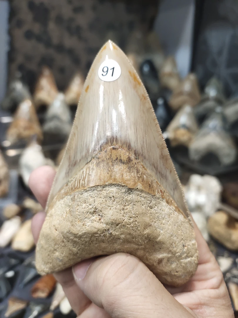 高性价比观赏石奇石