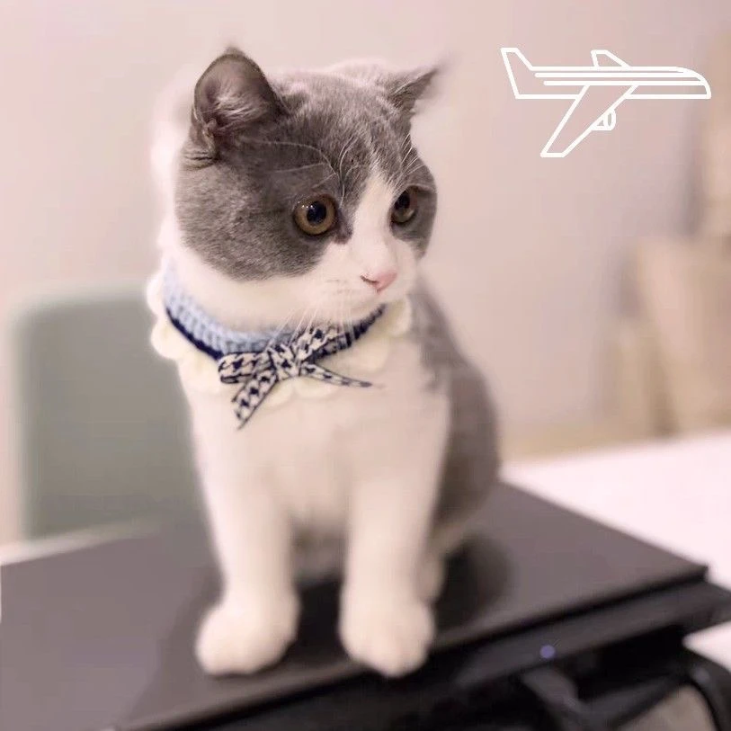 【两件拍这个】宠物针织围脖围兜猫咪围兜猫狗通用围兜