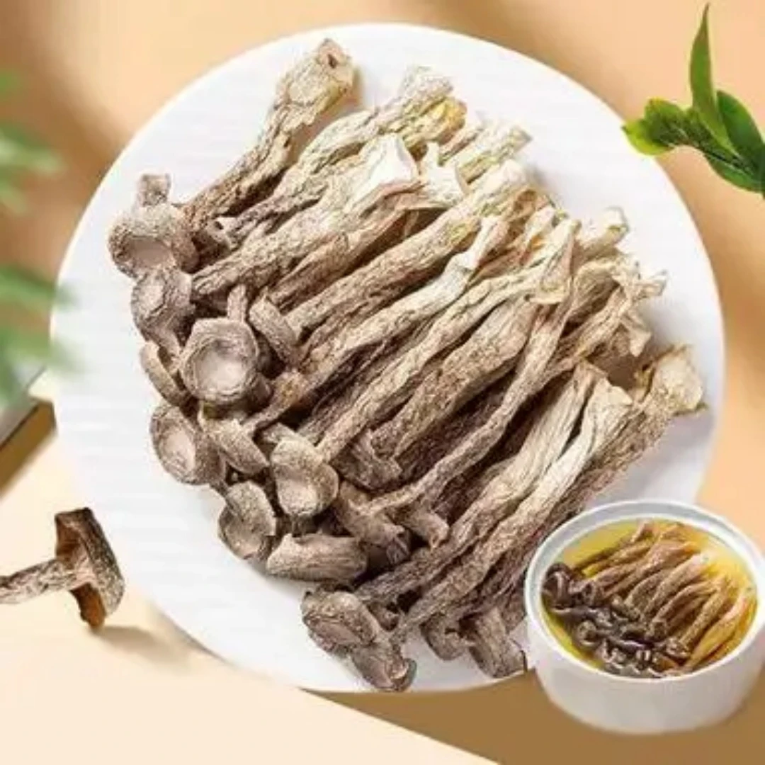 鹿茸菇干货农副产品