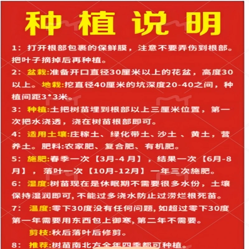 仙人掌高端盆景/盆栽