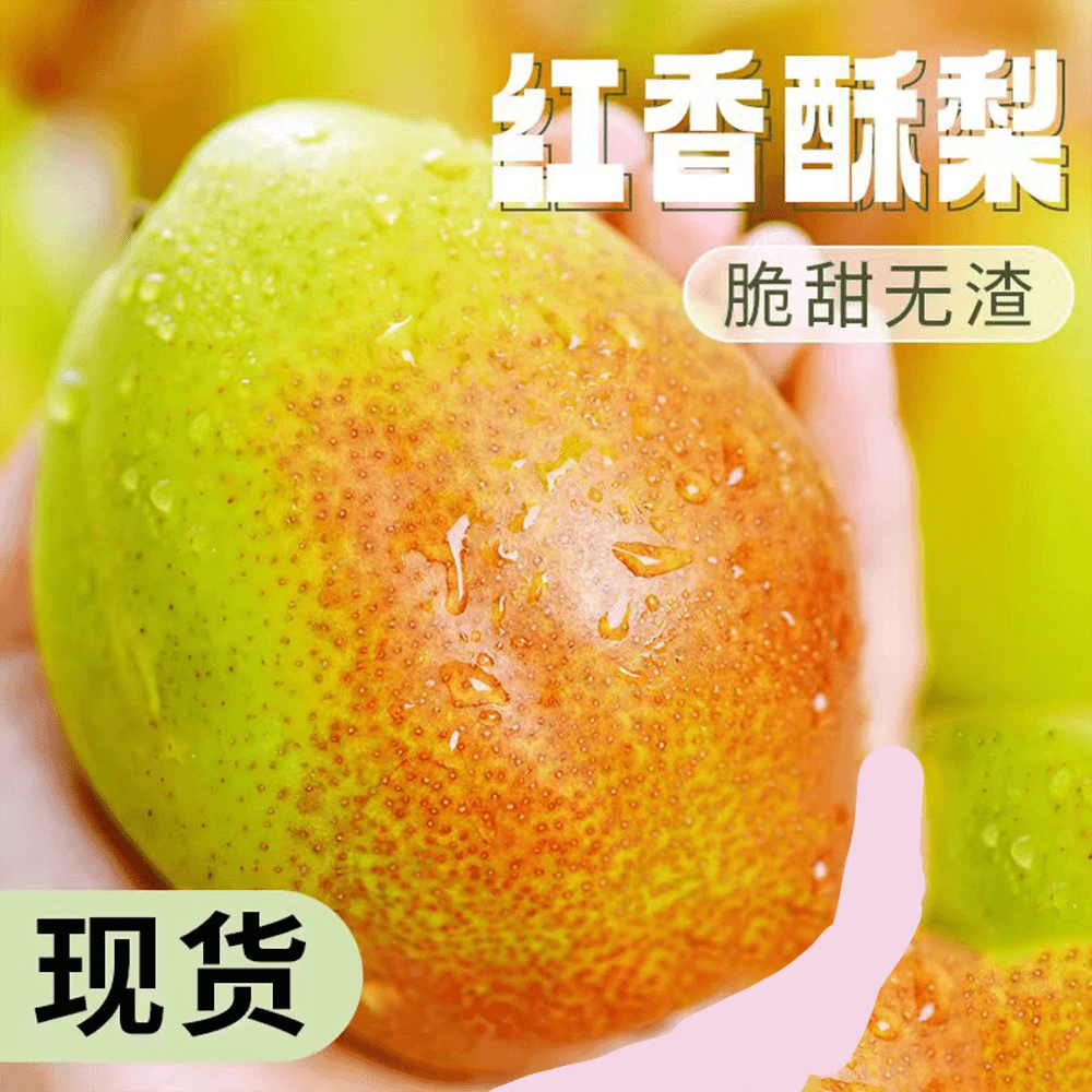 山西特产红香酥梨3斤起脆甜可口饱满多汁孕妇宝妈水果当季采摘