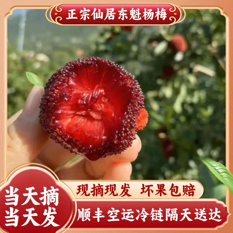 【8A / 6斤.】仙居东魁杨梅约6斤时令应季新鲜水果仙居产直发