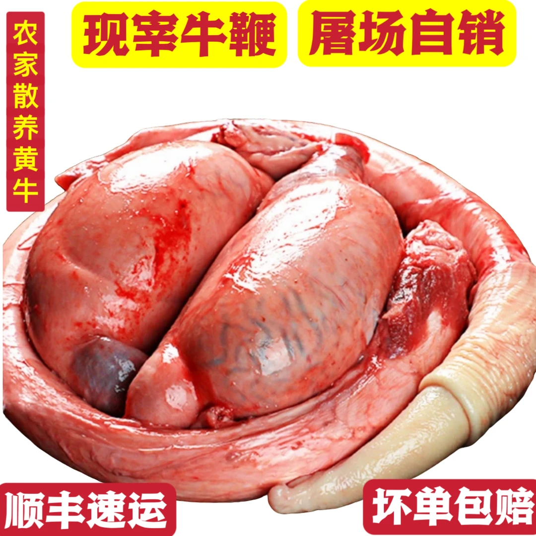 国产牛三宝 新鲜牛鞭牛蛋 牛宝 尿管已处理 顺丰冷链包 保密发货