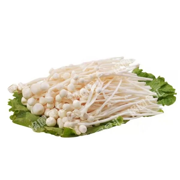 金针菇200g（盒）