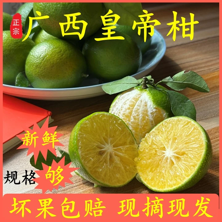 广西皇帝柑贡柑一级大果新鲜现摘现发当季水果纯甜无酸坏果包赔