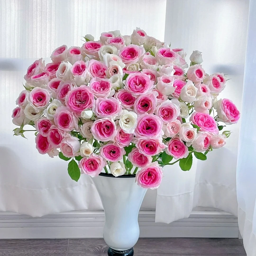 【静静甄选】多头玫瑰午夜魔法 任意2单以上包邮 发货后不支持退款