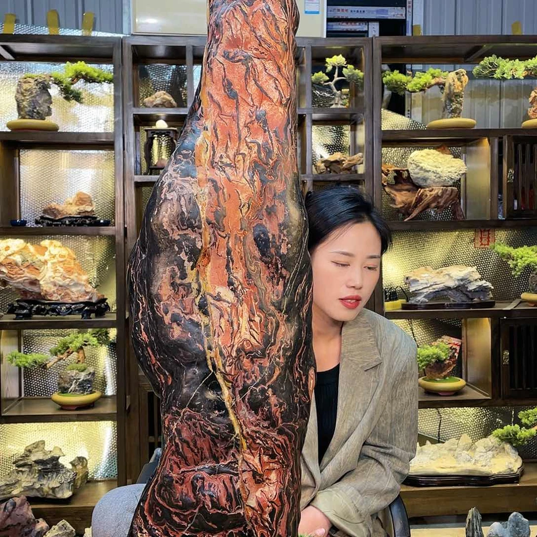 红陶20CM(含)-50CM(不含)金*蛋