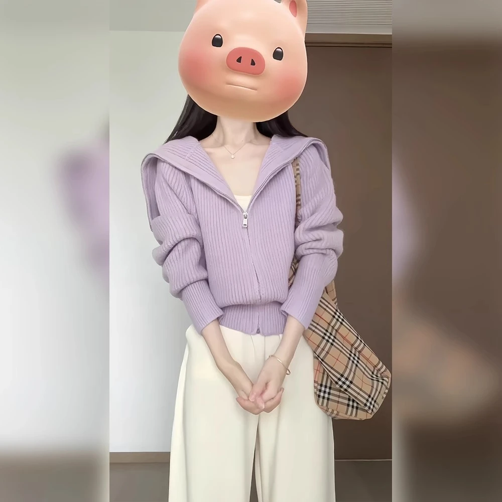 紫色针织衫女2024新款春秋季外套慵懒风开衫韩系深秋初冬穿搭上衣