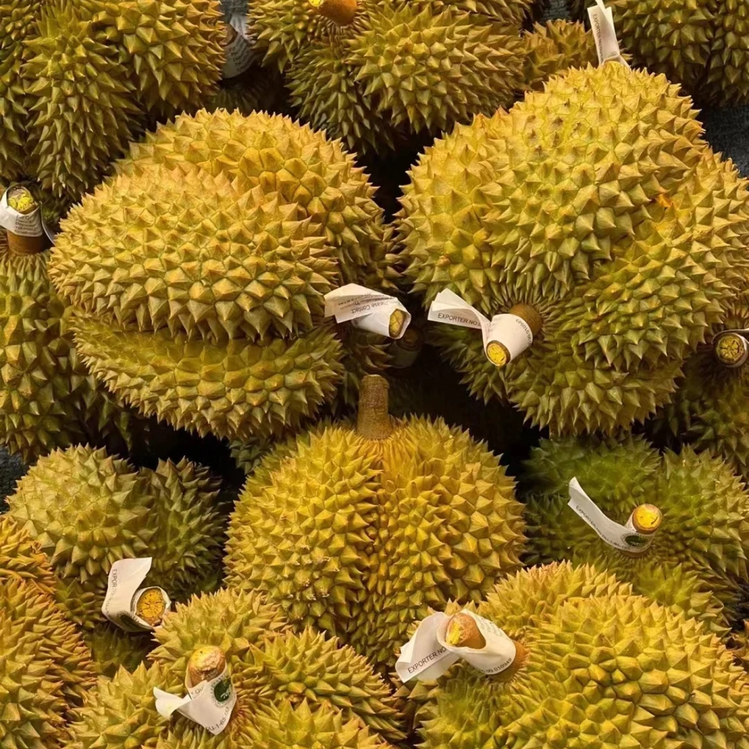 金枕榴莲一果一拍  配送上门
