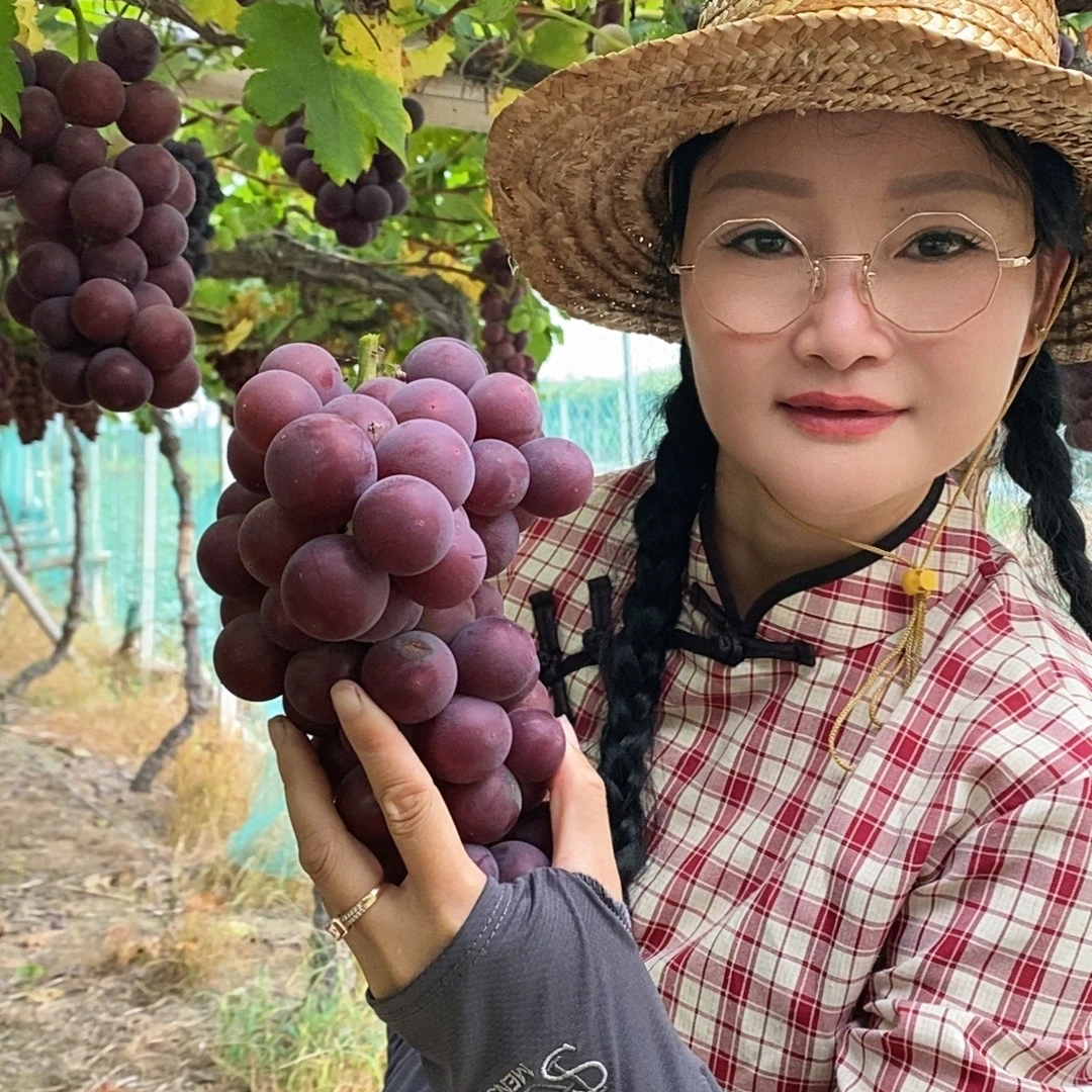 巨峰 葡萄   阳光 玫瑰