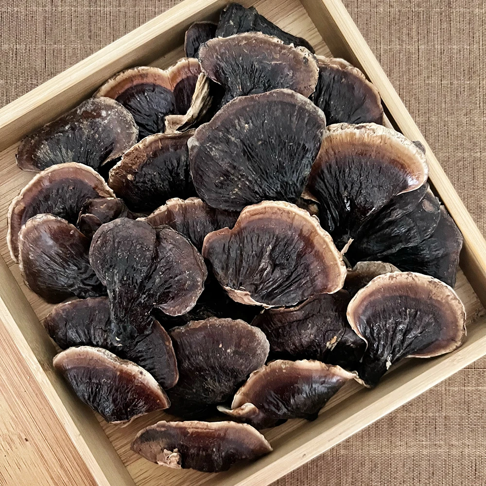 【小灵芝】长白山金边小灵芝500g