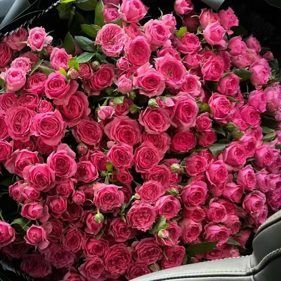 【苏菲宝贝多头玫瑰】斗南鲜花云南直发玫瑰鲜花两单包邮