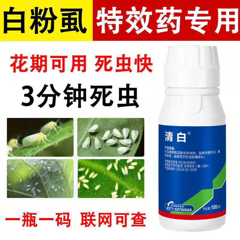 白粉虱 10%烯啶虫胺 白粉虱蚜虫稻飞虱辣椒白粉虱杀虫剂 农药大全