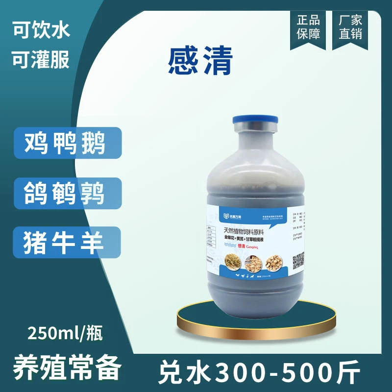 感清家禽白痢大肠杆菌肠炎拉稀鸡瘟呆立瞌睡打蔫不吃食优畜万家