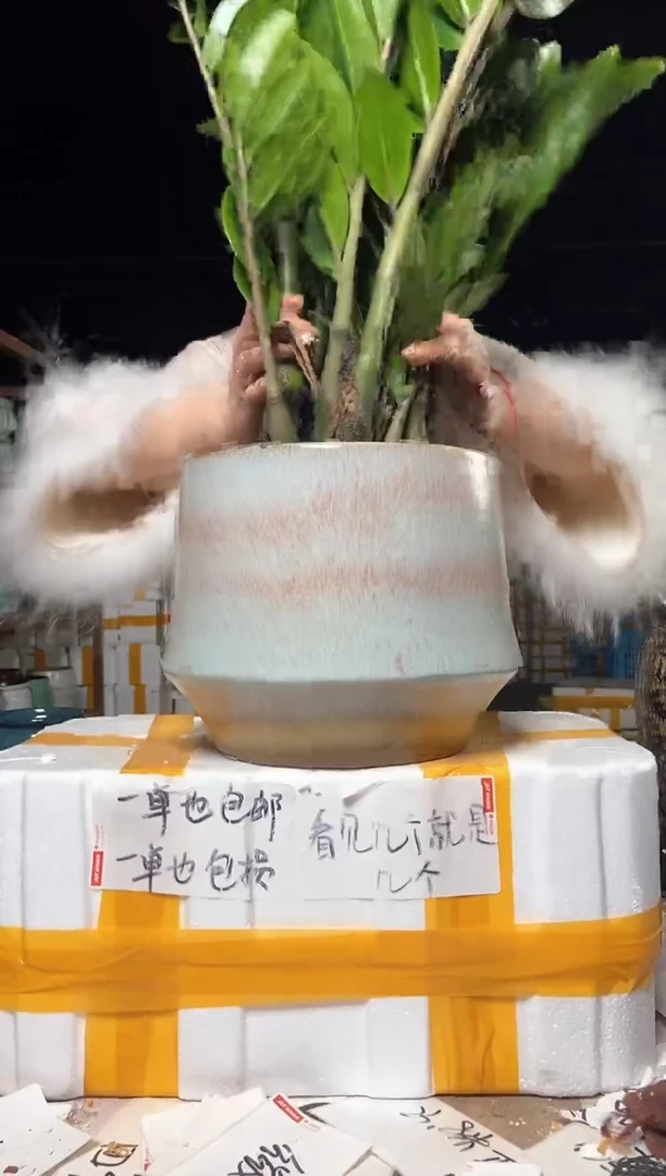 【闪购商品】23*22