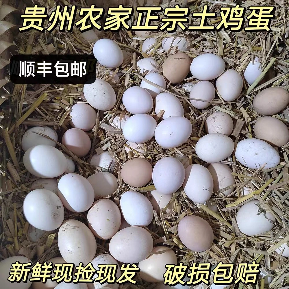 贵州遵义农村农户新鲜散养鸡蛋20枚起顺丰包邮