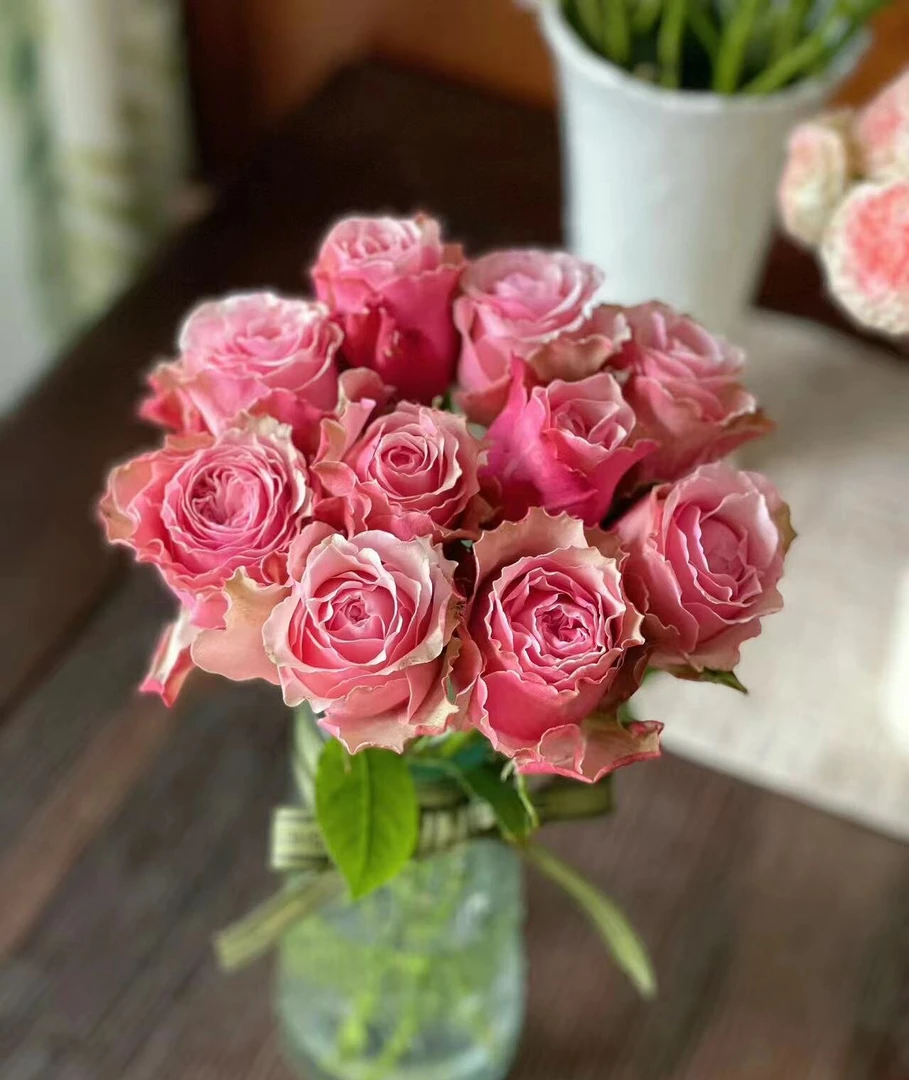 伯利兹玫瑰  同一地址任意两单加配草一扎