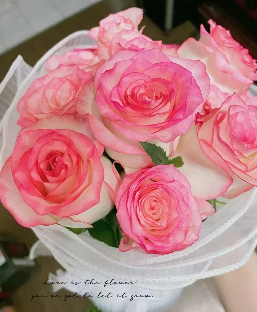 【艾莎公主】玫瑰   同一地址任意两单送配草一扎