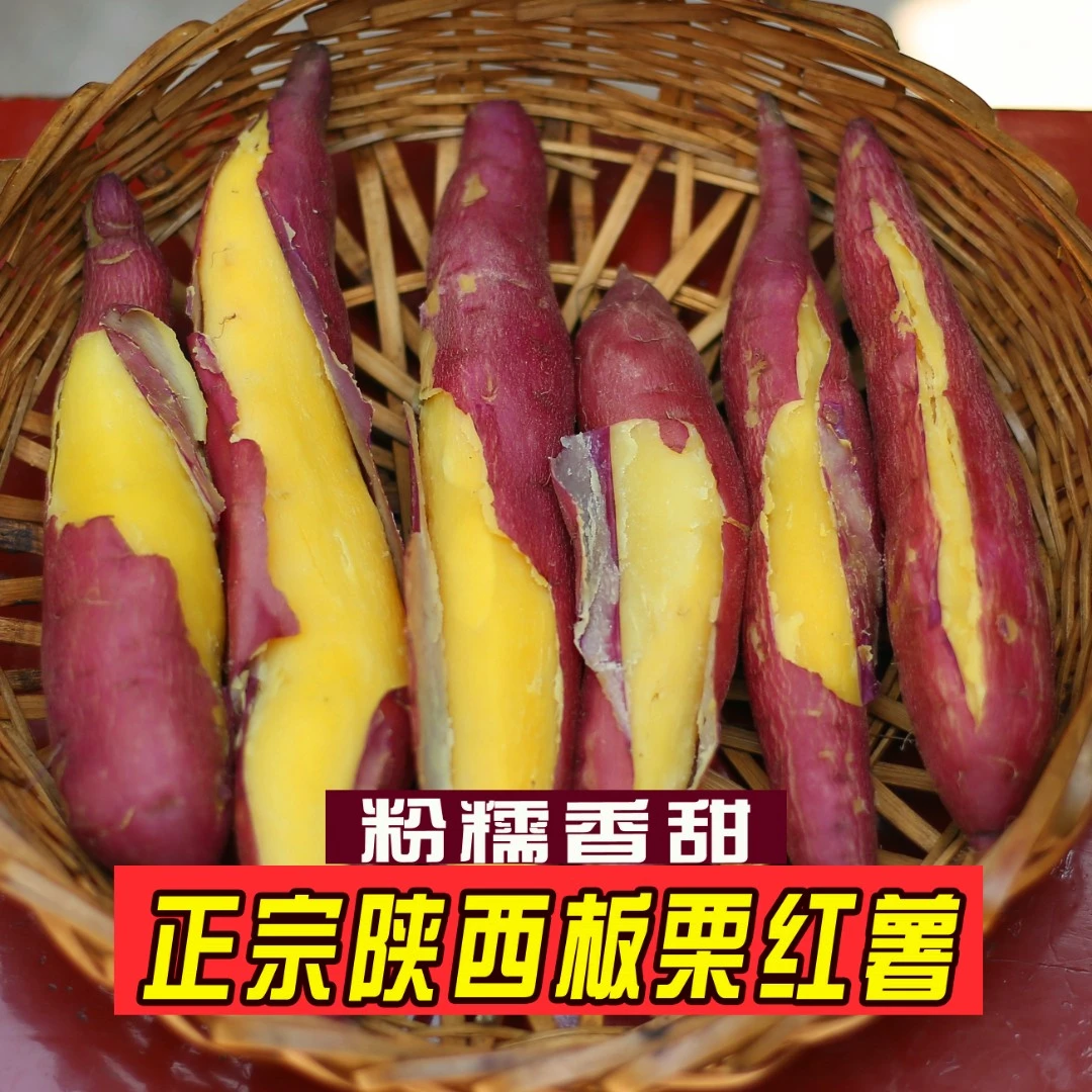 西安临潼板栗红薯自产自销干面粉糯地瓜沙地番薯香甜现挖新鲜发货