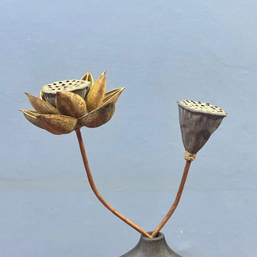 【干花组合】干荷花干莲蓬插花永生花风干花材网红爆款小清新摆件