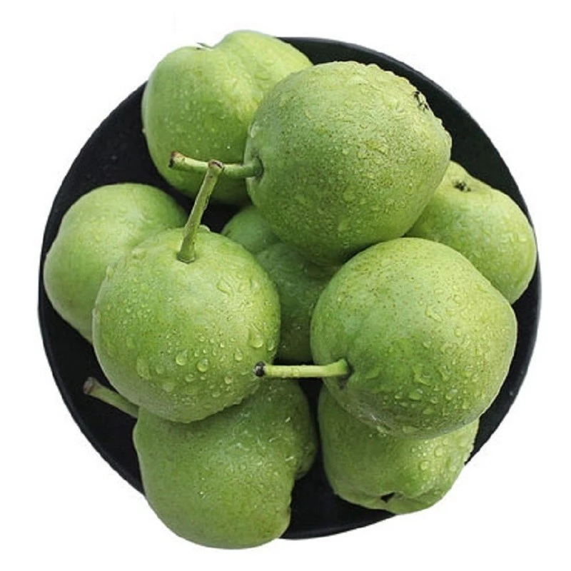 青梨约900g-1000g/份