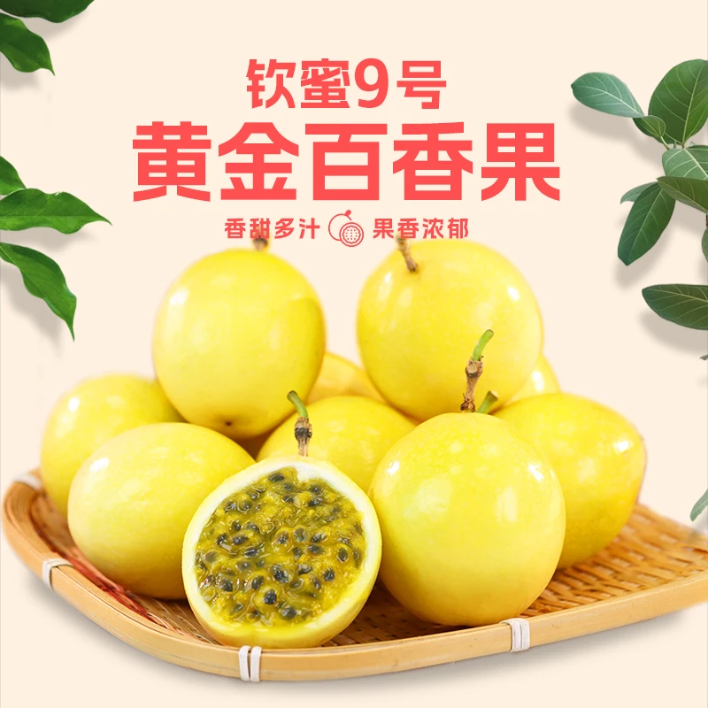 【16个果！】钦蜜9号黄金百香果 新鲜现摘浓郁酸甜多汁 50-60g