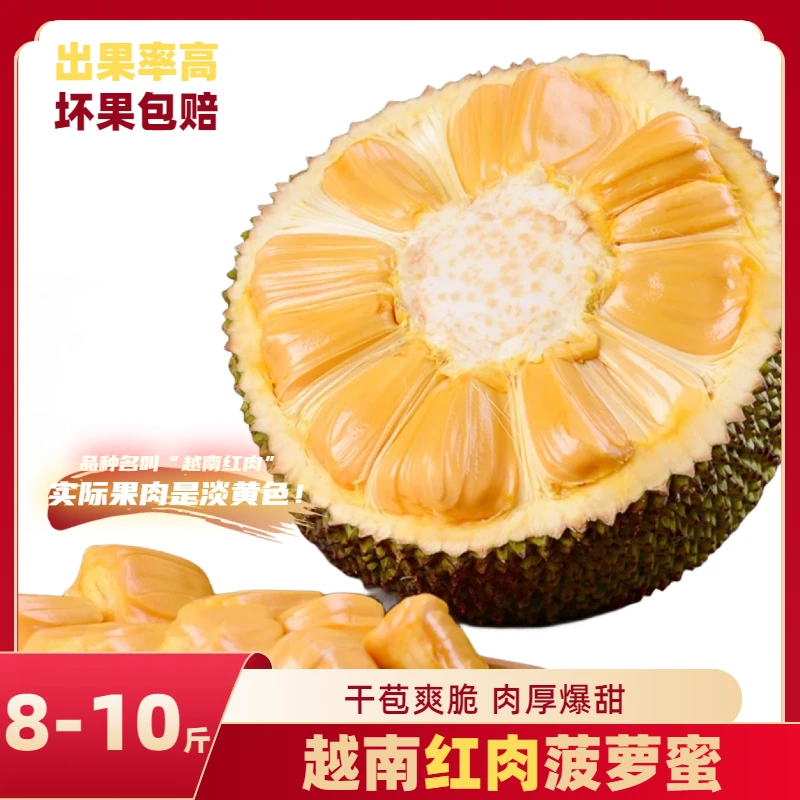 【宠粉福利】8-10斤！越南进口红肉菠萝蜜 8成熟发 干苞脆甜新鲜水果