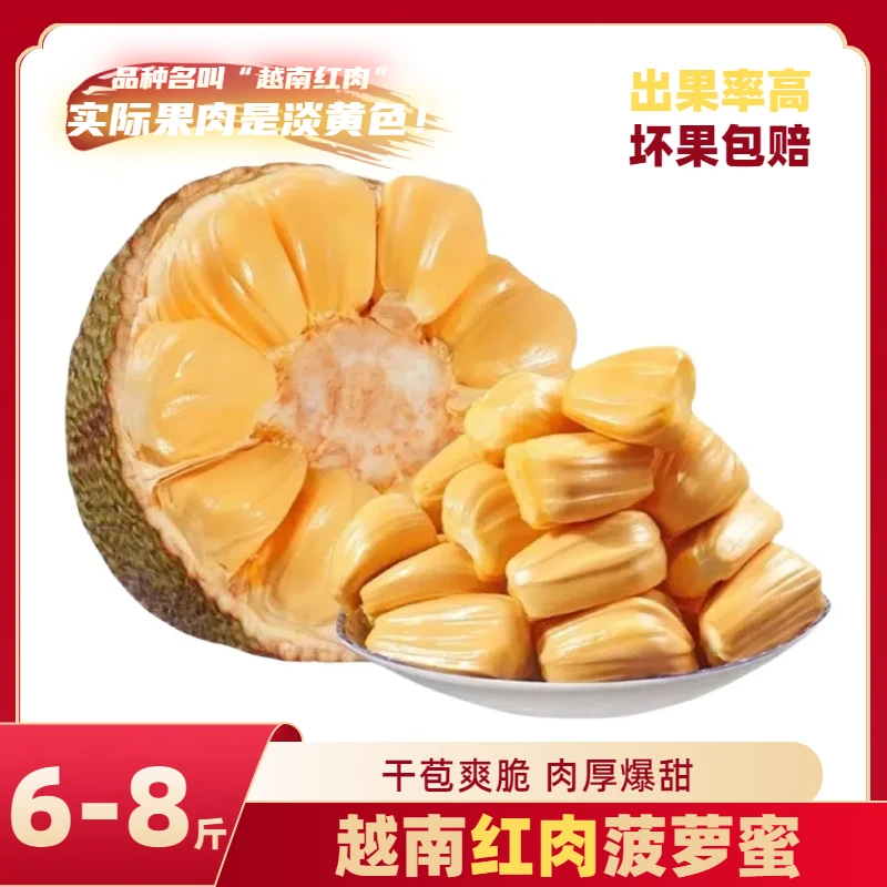 【宠粉福利】6-8斤！越南进口红肉菠萝蜜8成熟发货 干苞脆甜新鲜水果
