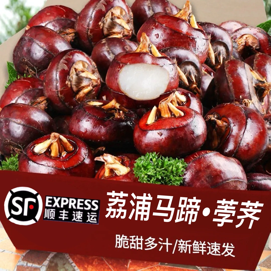 广西特产荔浦新鲜马蹄正宗水果荸荠特大果地栗3斤/5斤/10斤/1斤