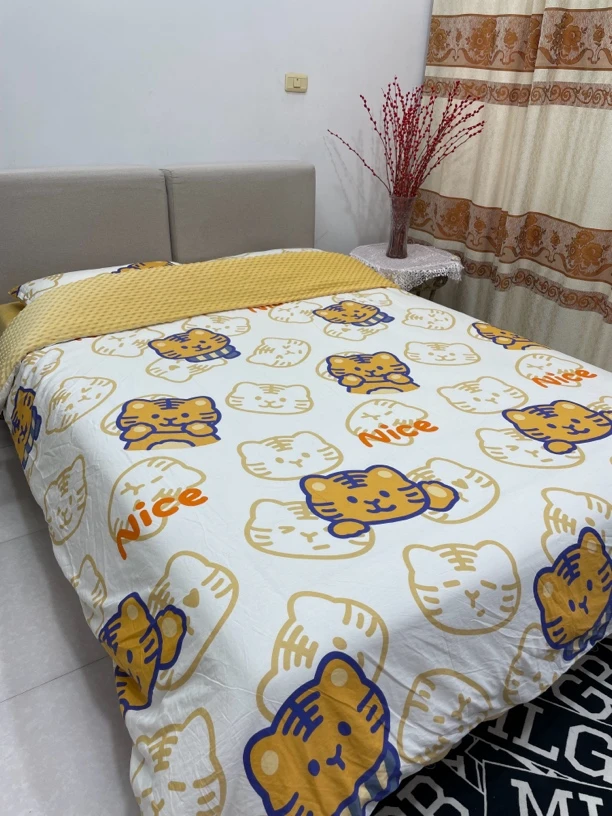 2024年新款秋冬全棉纯棉+绒豆豆被套四件套保暖舒适四季可用