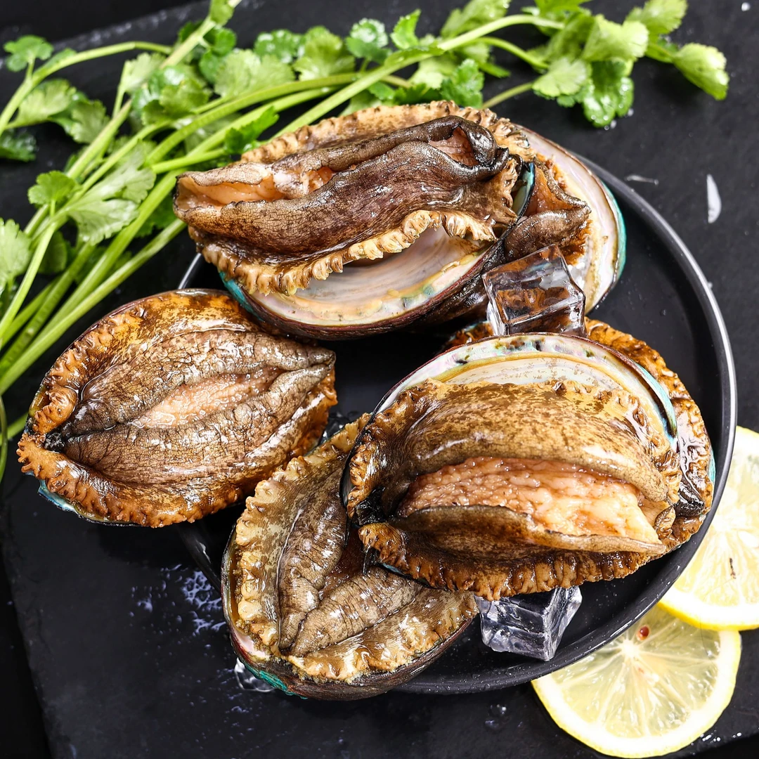 5-6头超大鲍鱼单只7-8cm到手10+5只活鲍速冻冷链新鲜发货滋补美味