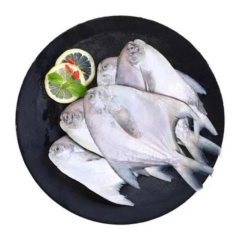 A新鲜速冻银鲳鱼7斤装 1斤6-8条鲜嫩鲳鱼袋装 海鲜水产