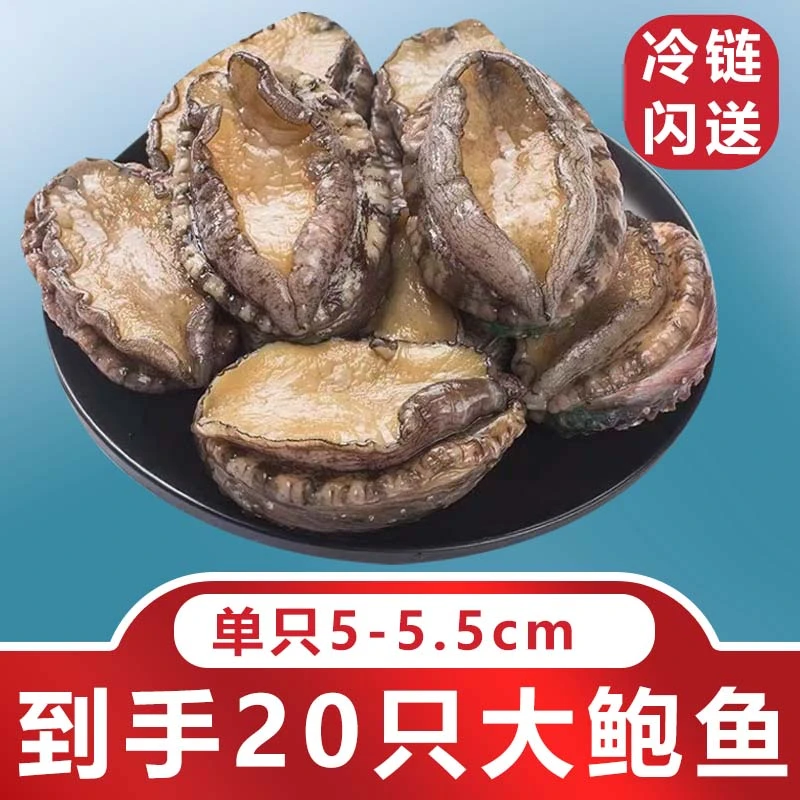 12头鲍鱼到手20只冷链冷冻海鲜锁鲜水产活鲍捕捞速冻发货新鲜食用