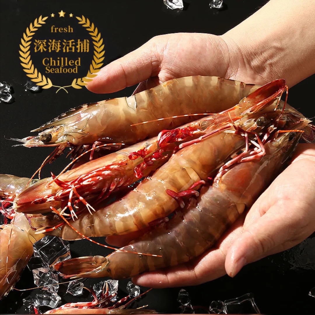 【一斤个13个左右】 汕尾本港野生活冻大丰虾 红爪虾