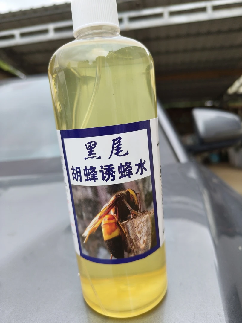 黑尾胡蜂诱蜂水上蜂多下肉快
