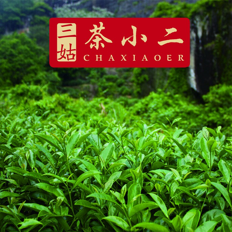 武夷岩茶 （通用）枞水王（年货节）