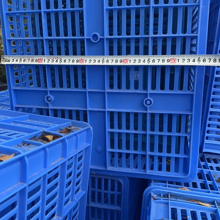 巨升家用装灰色出壳狮子头长方形转运塑料筐镂空篮红色塑料筐熟料