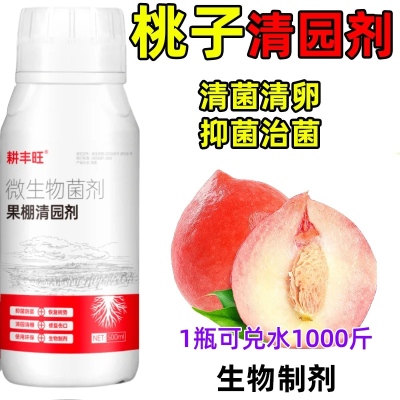 桃树清园代替石硫合剂桃子杀菌剂桃树清园剂微生物菌剂桃树清园剂
