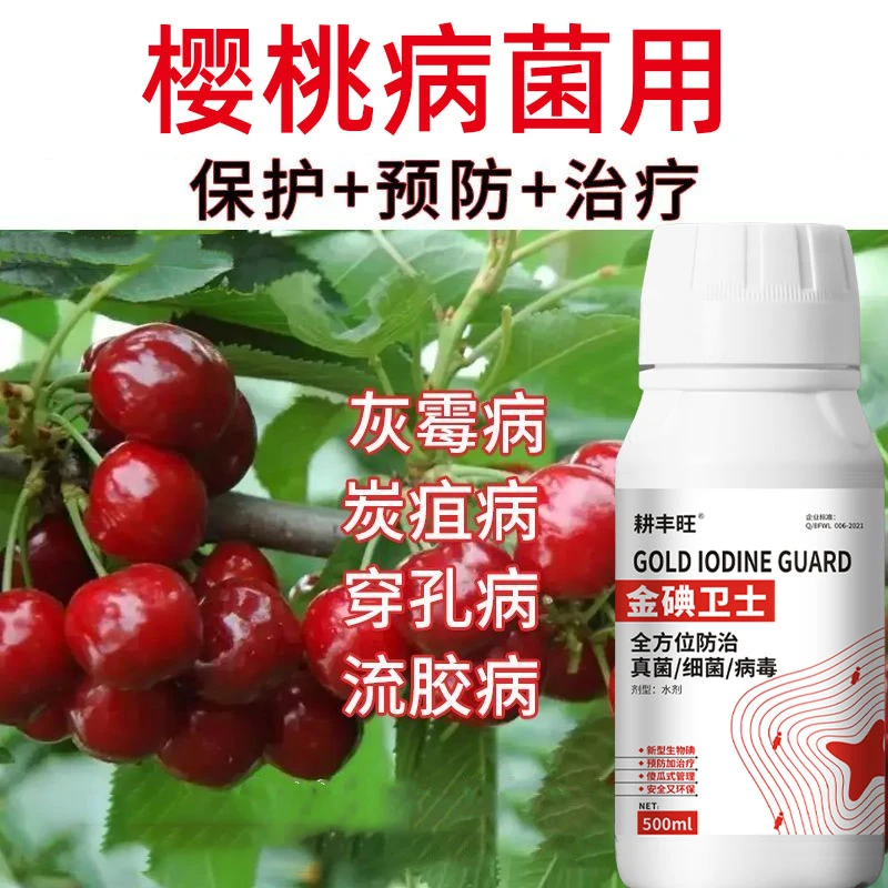 樱桃专用药樱桃病全治微生物杀菌预防治疗增产穿孔叶斑疮痂流胶病