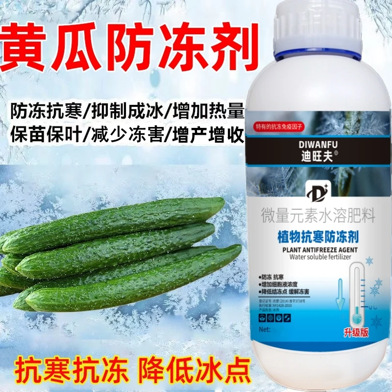 黄瓜防冻液黄瓜抗冻防寒剂黄瓜专用药解冻害抗低温黄瓜防冻剂叶肥