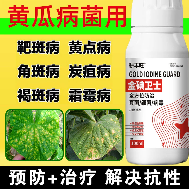 黄瓜病全治白粉病霜霉病褐斑病灰霉病炭疽病角斑病黄瓜杀菌专用