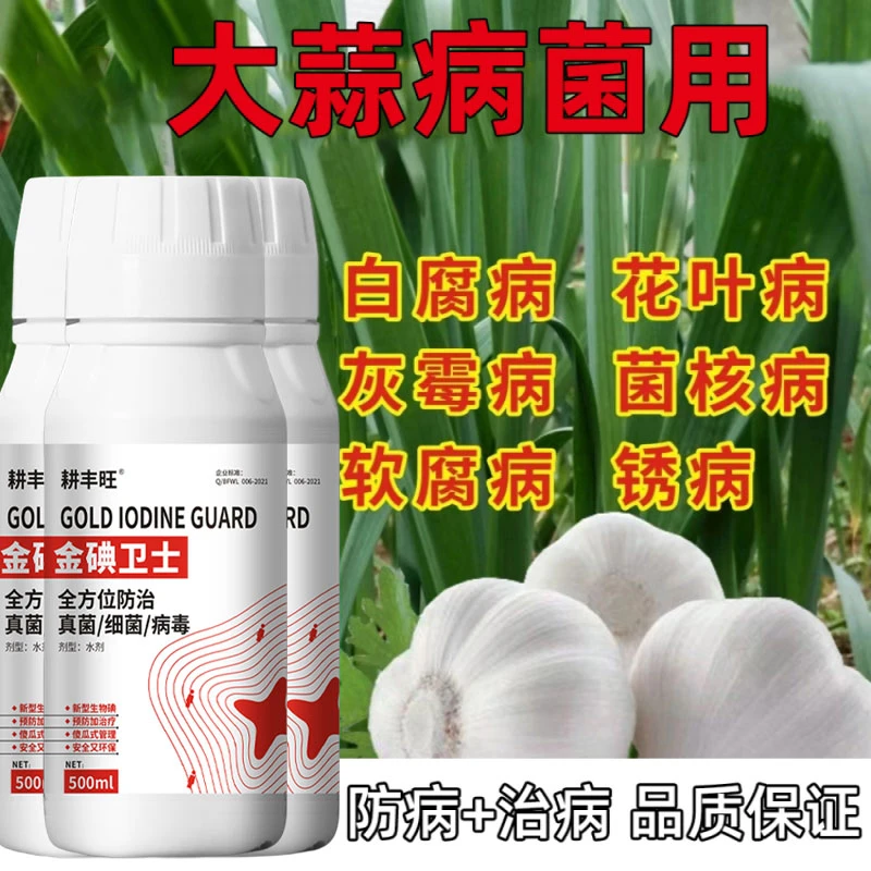 大蒜专用杀菌剂大蒜病全治大蒜专用药干尖黄叶腐烂治病预防正品