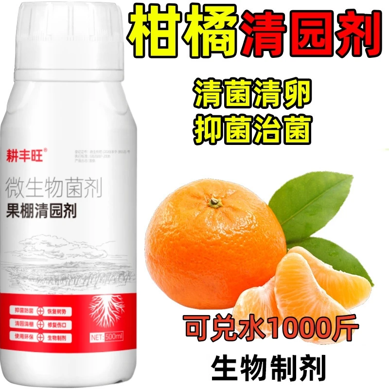 柑橘清园代替石硫合剂柑桔杀菌剂柑橘清园剂微生物菌柑桔树清园剂