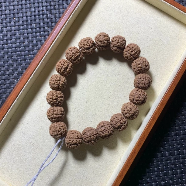 印尼跳跳龙小金刚 原生态 不滚筒 不泡药