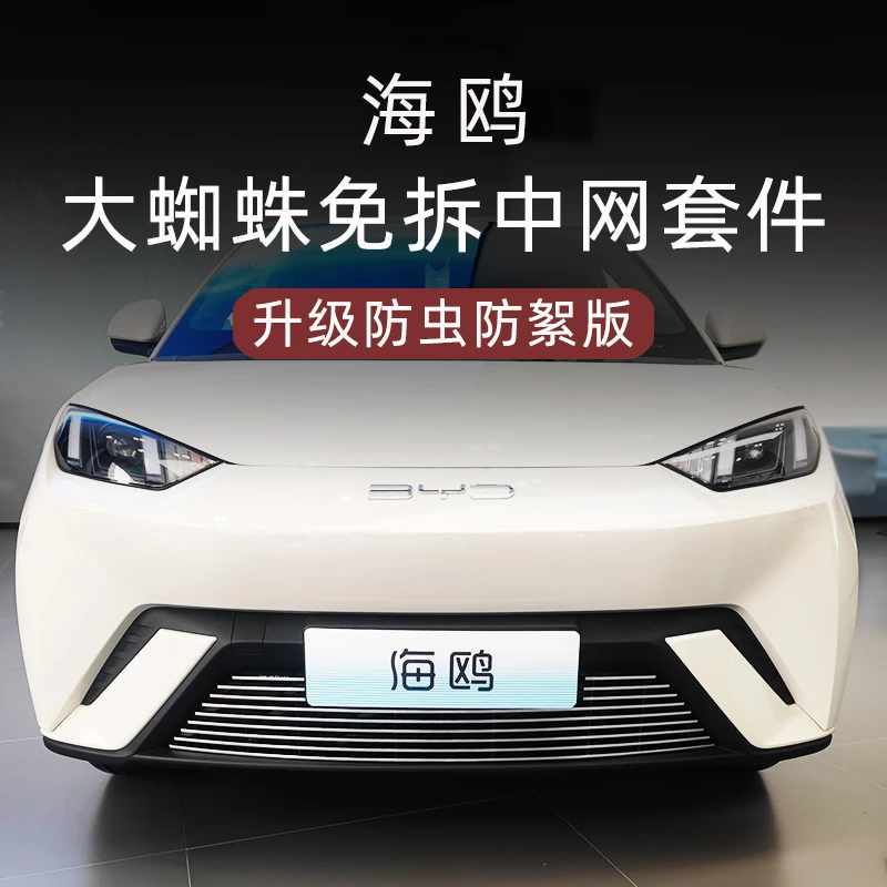 比亚迪海鸥前脸外观改装件专用防虫网装饰条汽车用品配件