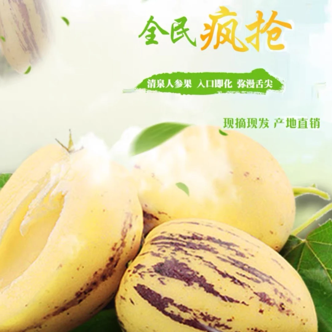清泉人参果现摘现发